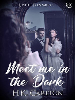 cover image of Meet Me in the Dark